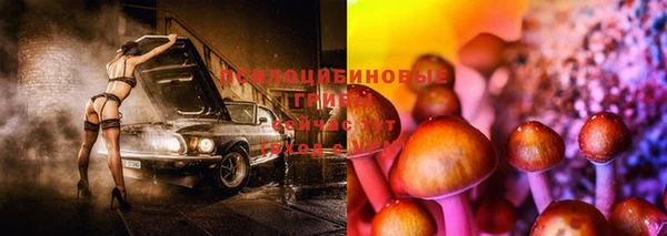 мдпв Абинск