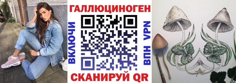 Галлюциногенные грибы мицелий  Ядрин 